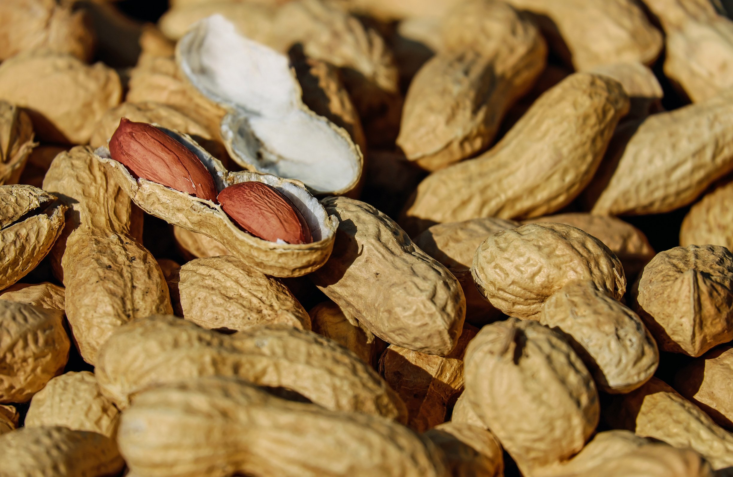 Heap of Raw Peanuts