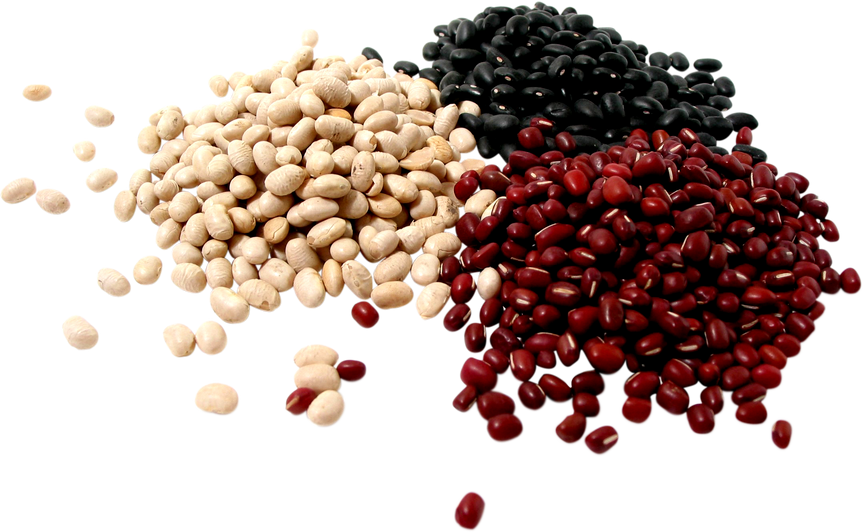 Dry Beans