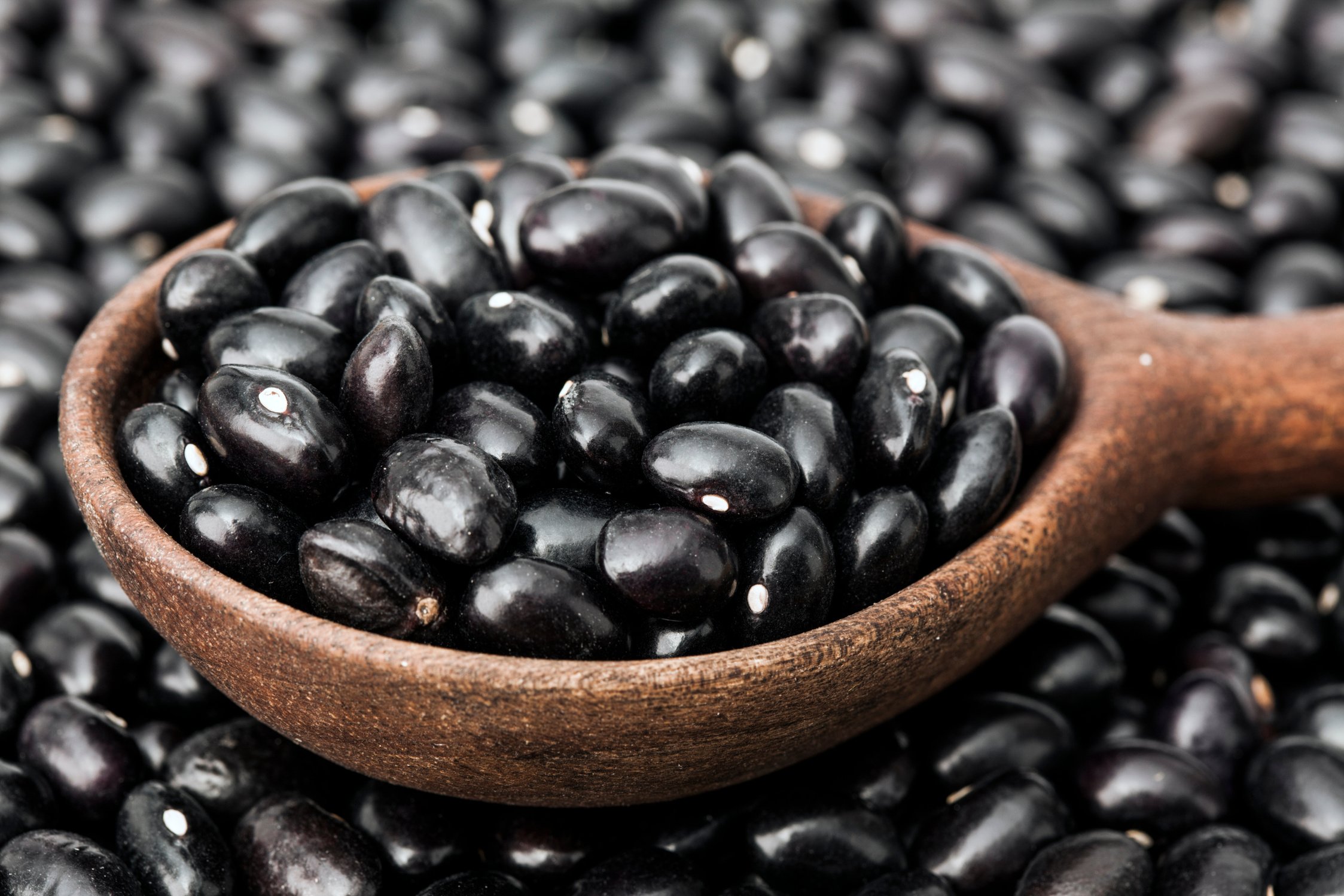 Wooden Spoon with Black Beans Closeup